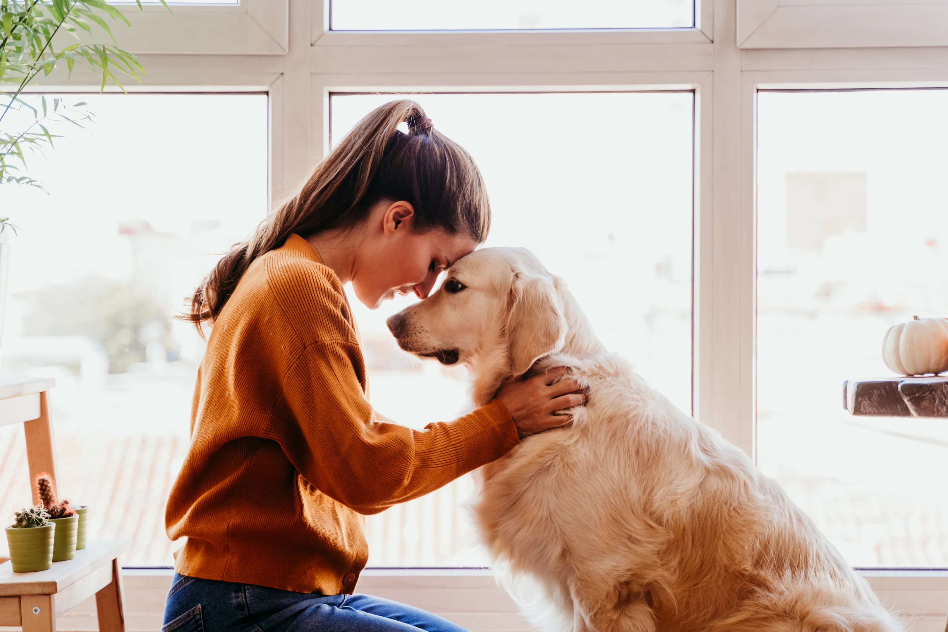 Signature Smiles Studio Therapy Dog Decatur GA